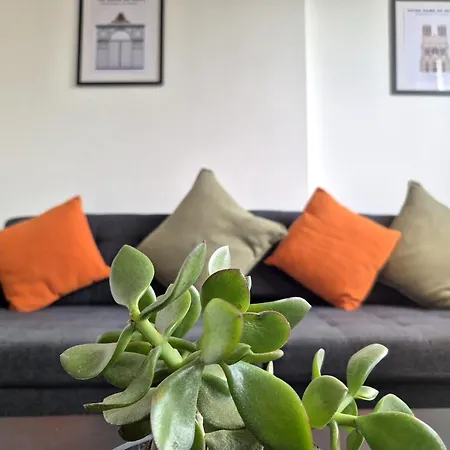 Nuit Des Sacres - Hyper Centre - Cathedrale Reims