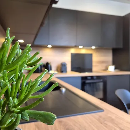 Nuit Des Sacres - Hyper Centre - Cathedrale Reims